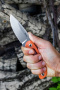 Нож Ruike Hornet F815