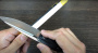 Точилка ручная Work Sharp WSGPS
