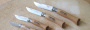 Набор из 10 штук складных ножей в деревянном кейсе Opinel VRI Tradition Inox 