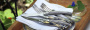 Набор из 4-х штук столовых ножей Opinel VRI Birchwood