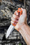 Нож Ruike Hornet F815