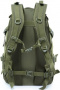 Рюкзак тактический Skully Tactic RWZS20 40 л (зеленый)